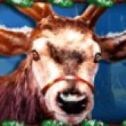 Book of Reindeer: Reno