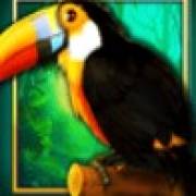 Book of The Jungle: Tucán