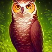 Book of Wizard: Crystal Chance: Búho