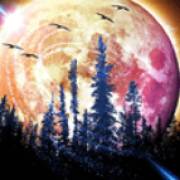Book Of Wolves Full Moon: Bosque