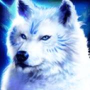 Book Of Wolves: Lobo