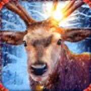 Book of Xmas Reloaded: Reno