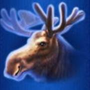 Buffalo Blitz: Reno
