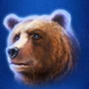 Buffalo Blitz: Oso