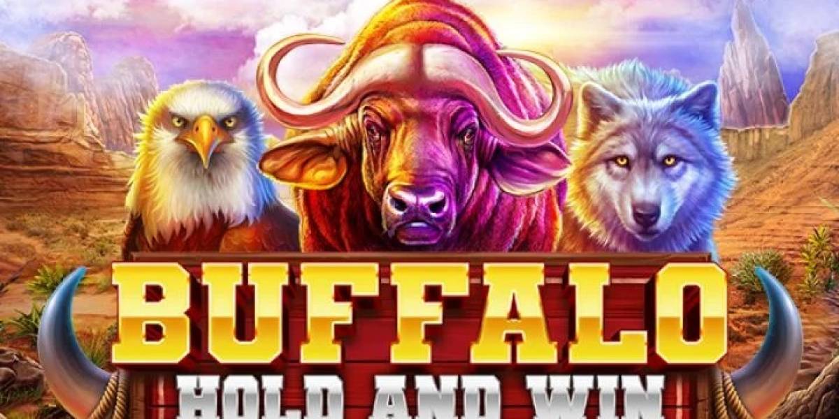 Buffalo Hold And Win