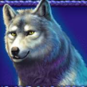 Buffalo King Megaways: Lobo