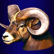 Buffalo Lightning: Cabra