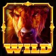 Buffalo Rampage – Hold & Hit: Salvaje