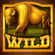 Buffalo Rising Megaways All Action: Búfalo dorado