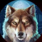 Buffalo Rising Megaways All Action: Lobo