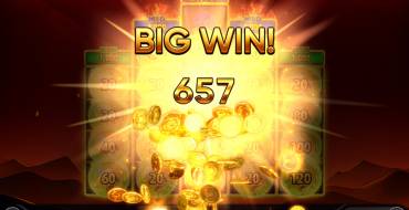 Burning Coins 20: Ganancias