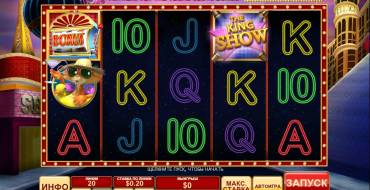 Cat in Vegas: Fotos