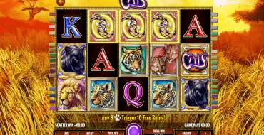 Cats: Ganancias