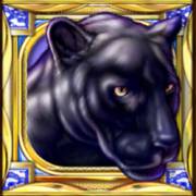 Cats: Pantera
