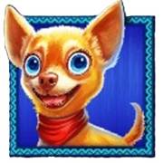 Chilli Heat Spicy Spins: Perrito