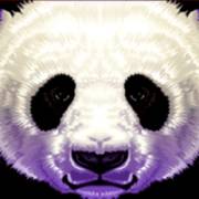 China Shores: Salvaje