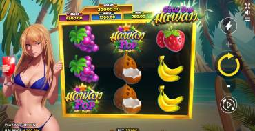 City Pop Hawaii: Interfaz