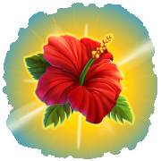 City Pop Hawaii: Loto rojo