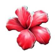 Club Tropicana — Happy Hour: Flor
