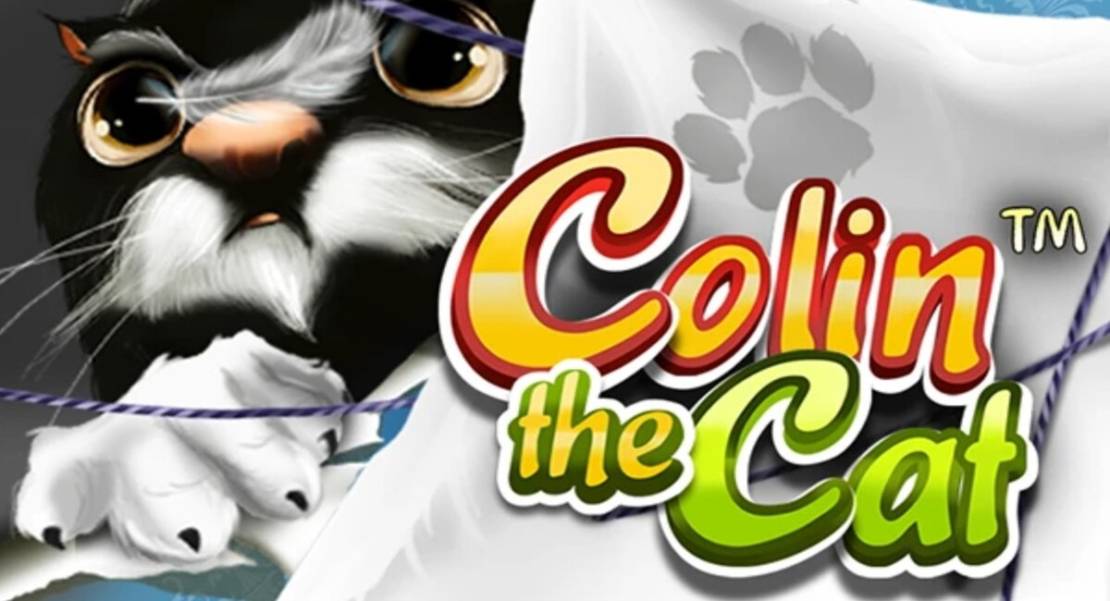 Colin the Cat