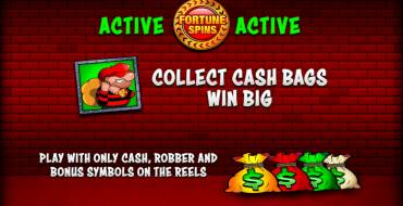 Cops`n`Robbers Bigger Big Money: Características únicas