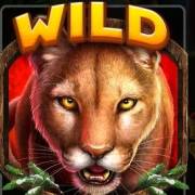 Cougar Cash: Salvaje