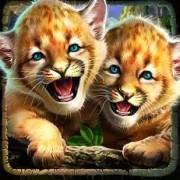 Cougar Cash: Gatitos