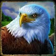 Cougar Cash: Águila