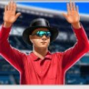 Cricket Mania: Árbitro