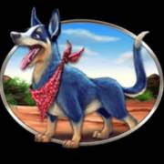 Croc Chase: Perro