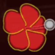 Cuba Caliente: Flor