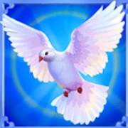Cupid: Paloma
