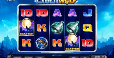 Cyber Wolf: Tema
