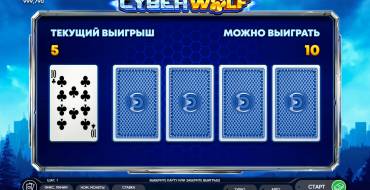 Cyber Wolf: Juego de riesgo