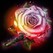 Dark Reels: Rosa