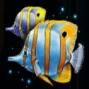 Deep Sea Fortune: Pescado