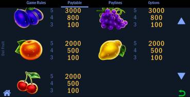 Del Fruit: Tabla de pagos