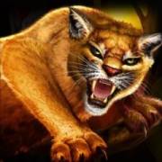 Desert Hawk: Tigre