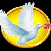 Divine Links: Paloma