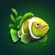 Dolphin Riches Hold and Win: Pescado
