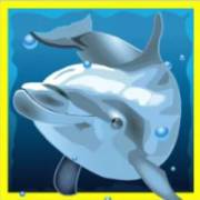 Dolphin’s Pearl: Delfín