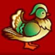 Dragons Pearl: Pato