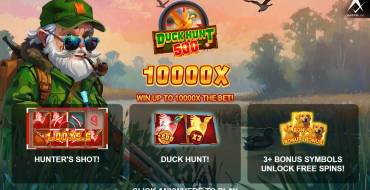 Duck Hunt 500: Características únicas