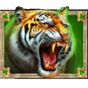Eye of Spartacus: Tigre