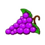 Fenix Play 27 Deluxe: Uvas
