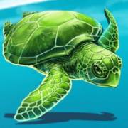 Fishin Bonanza: Tortuga