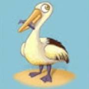 Fishin Frenzy: Gaviota