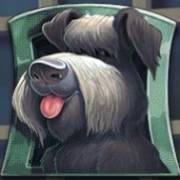 Flodder: Perro