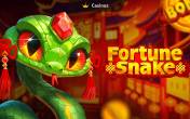 Fortune Snake