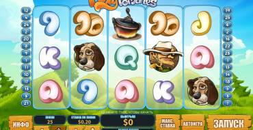 Foxy Fortunes: Elementos especiales